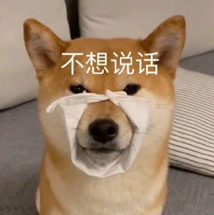今日份表情包为什么我一闭眼就看不见东西了呀