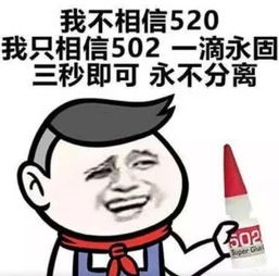 520表白表情包,我喜欢你,第一句是假的,第二句也是假的