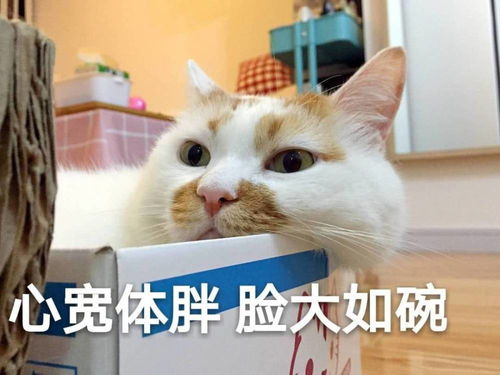 表情包我只是心碎成了很多片,不同的碎片爱上了不同的人