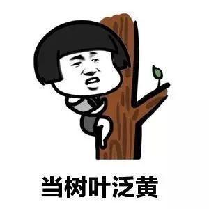开心笑话小时候,感觉村长家很神秘,夏天再热也门窗紧闭
