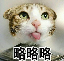 有没有什么的过目难忘又难以忍受的小说情节