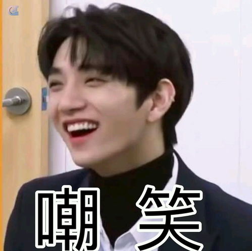 seventeen的表情包合集全员向96line