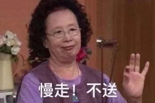 葵花点穴手表情包罗文姬