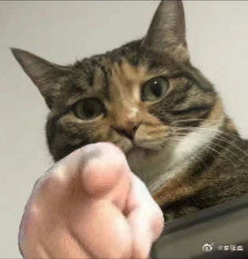 不租了求租求室友,火车南站桐梓林区域
