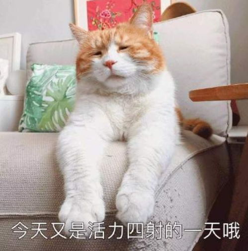 紧急通知明天不上班