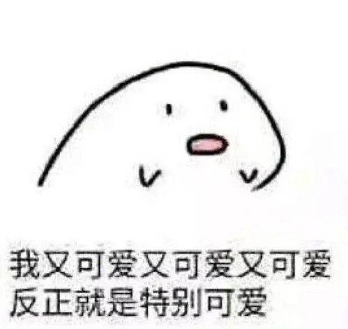 芝士