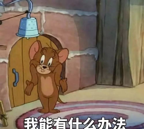 黄皮耗子表情包考研
