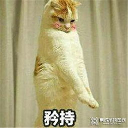 冬季沐浴不靠正气,靠取暖器
