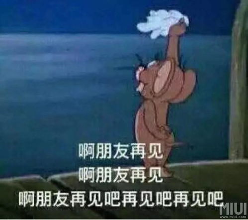 杰瑞才是我鼠年最想成为的人生赢家