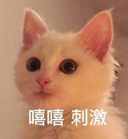 猫妈,你看我涂这口红好看吗