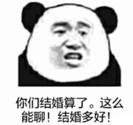 熊猫调侃怼人表情你们这么能聊,求求你们原地结婚吧