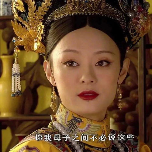 说啥大实话表情包皇阿玛