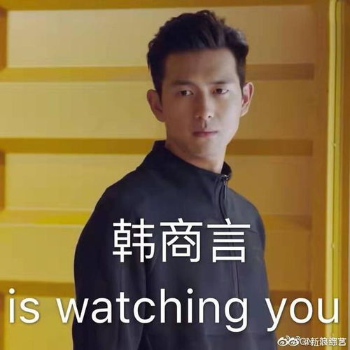 pdd竟是韩商言原型韩商言本人这样回应