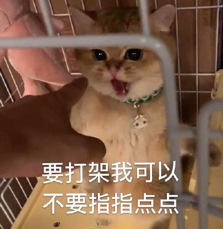 表情包图片,叫我吗,我在听