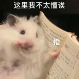 两男一女为寻刺激,开宝马到瓜地里干这种事真给我开了大眼哈哈哈哈哈