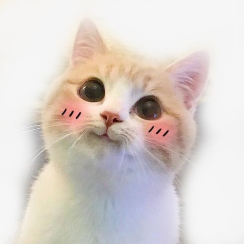书籍