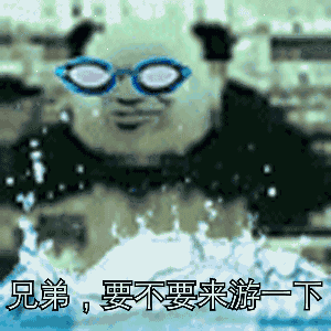 金馆长熊猫动态表情包下载金馆长熊猫兄弟要不要系列qq动态表情包下载高清无水印乐游网游戏下载