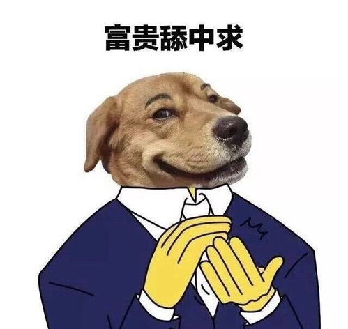 最具争议舔狗表情包终于来了,你支持哪方