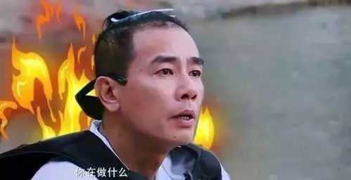varietyshow丨爸爸去哪儿5看萌娃们如何实力圈粉