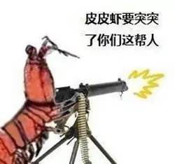 厉害了word皮皮虾踢飞小海虾暴打蟹老板,然而它的天敌竟然...