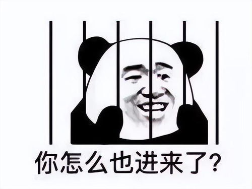 太魔幻辣某鱼主播停播4个月,短视频账号却在猛猛发视频
