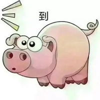 猪喊到表情包