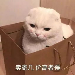 大佬说自己菜vs我说自己菜