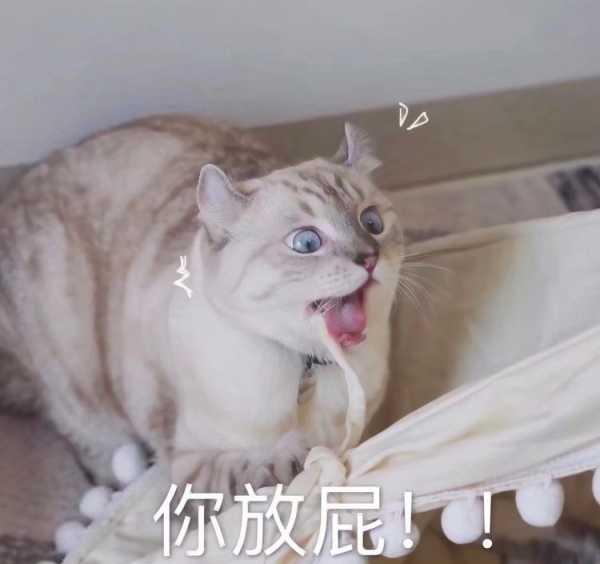 有没有神反转的沙雕文案