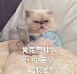 表情包你的人生肯定有着不可告人的秘密你给我等着,定会找你