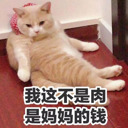 导致50的人一再减肥失败的营养不良型肥胖,你是吗