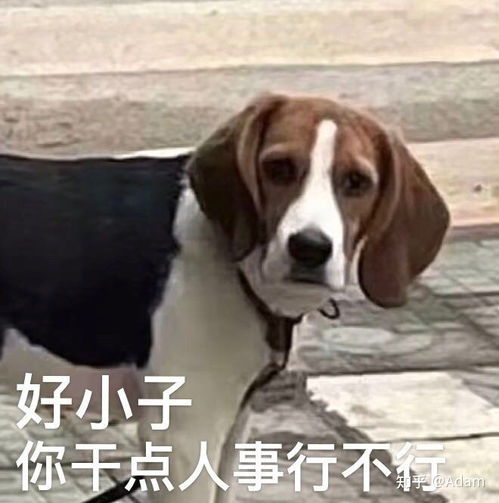 十八岁的美好年华放在了暧昧与舔狗上渣男都去吧