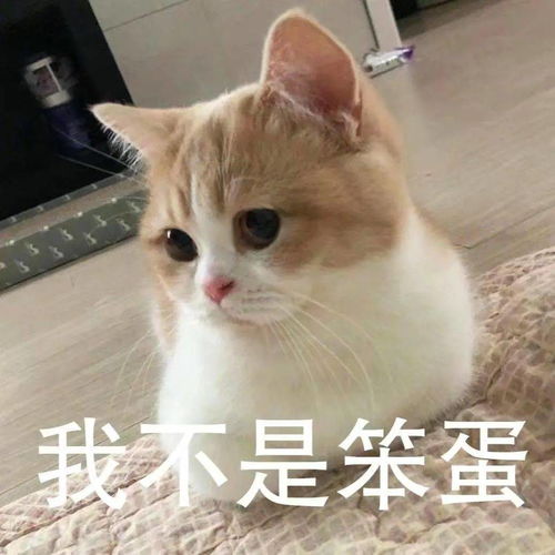 遭到水逆的重击