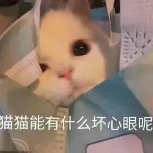 可爱小表情适合发给喜欢的人