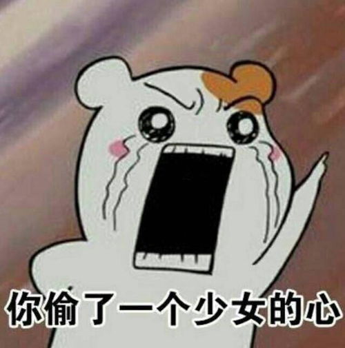 一条平价良心拼多多宝藏店铺合集推荐2