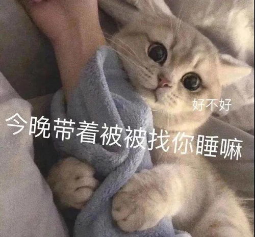 甜甜的萌宠表情包你比小狗勾还有狗勾