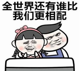 表情包你还真是老母猪戴罩罩,一套又一套啊