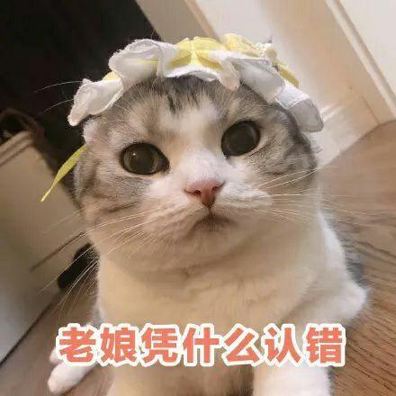 学习