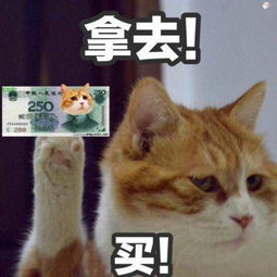哪一个做头像好看
