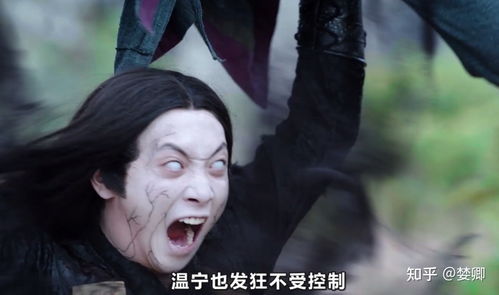 陈情令29集忘羡重遇,温宁恢复神智,魏无羡带蓝湛参观伏魔洞