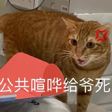 表情包隔空投送airdrop系列