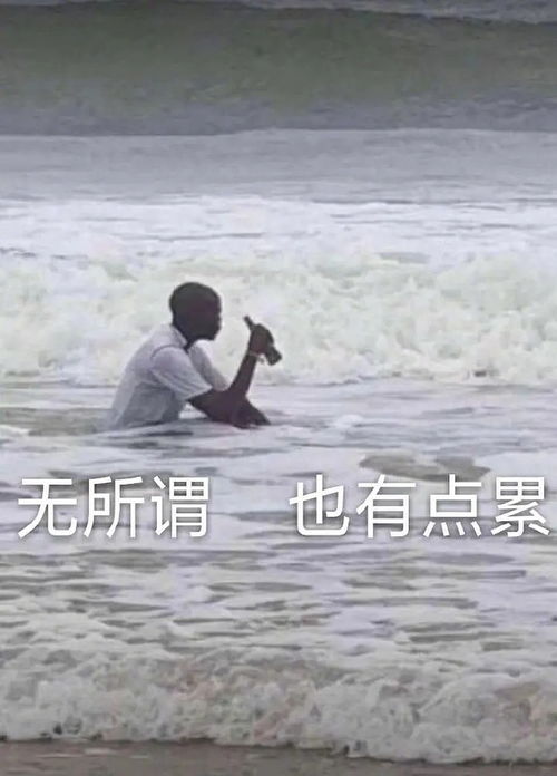 有人学遥感吗