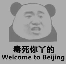 全球宜居城市排名上海竟被苏州北京完爆