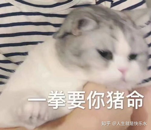 如何看待李佳琦部分粉丝三观扭曲