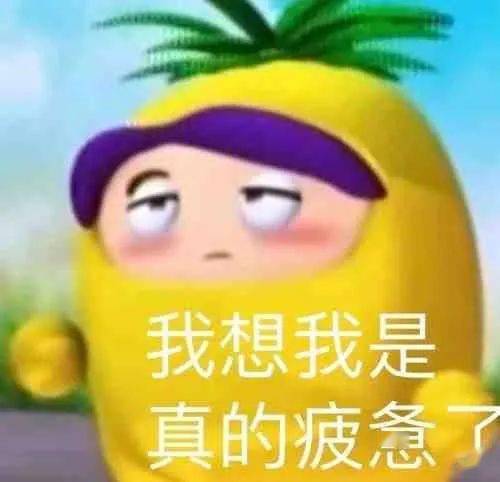 铺上六层拉菲草的我能不能在冬天收到一箱奶茶