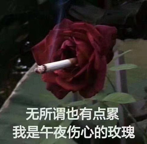 委屈文案你要这么想我也没办法