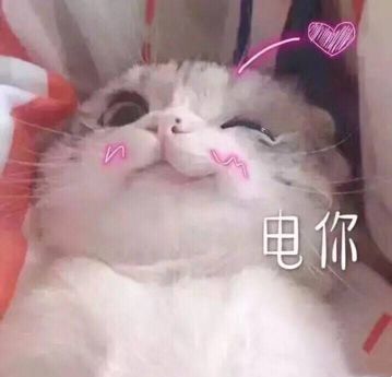 走向外院学生会,这是你不能错过的线上报名表