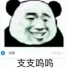 熊猫头表情包i你没睡醒吗哥们