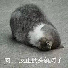 今天犯点什么坏好呢表情包图片反正低头就对了表情包下载乐游网游戏下载