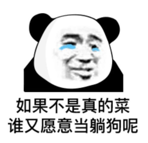可爱又搞笑的沙雕表情包