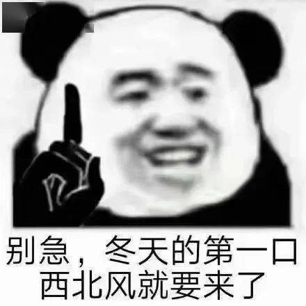 熊猫头表情包i你又觉得你可以了